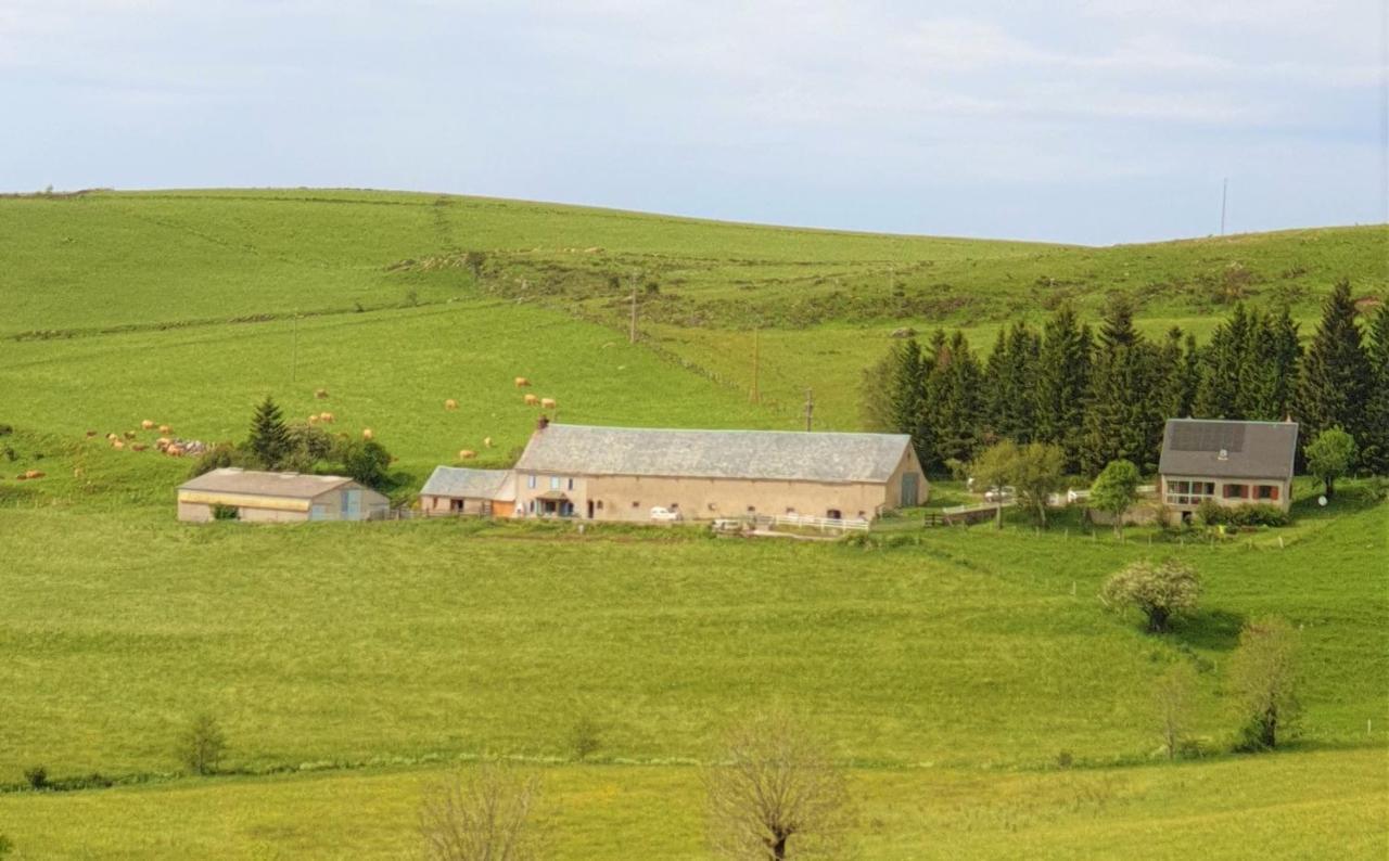 Bed and Breakfast Horizon Aubrac Laguiole Zewnętrze zdjęcie