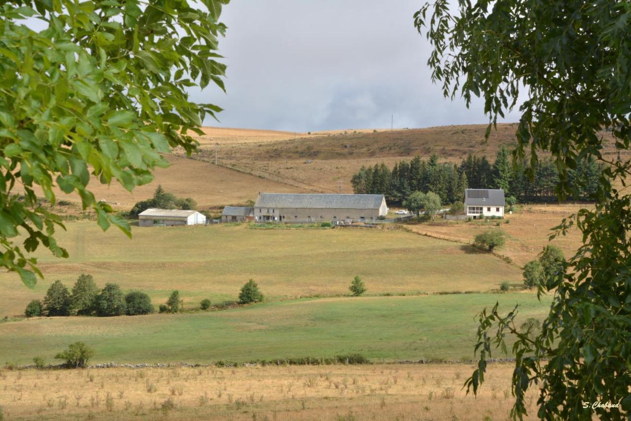 Bed and Breakfast Horizon Aubrac Laguiole Zewnętrze zdjęcie